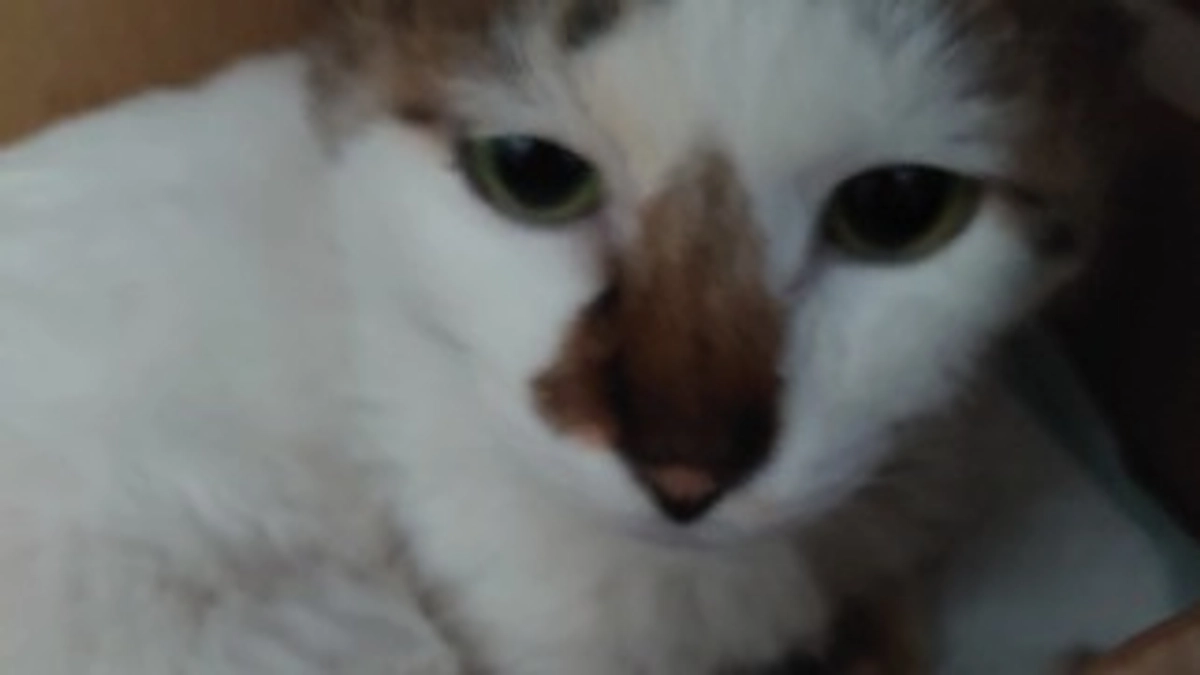 ツキちゃんの事です。