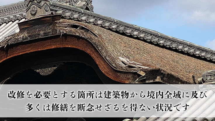 京都花園・大本山妙心寺|重要文化財「明智風呂」と伽藍整備にご支援を 3枚目