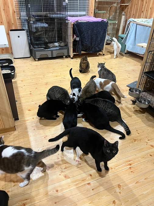 初めてのクラウドファンディングがスタートしました！