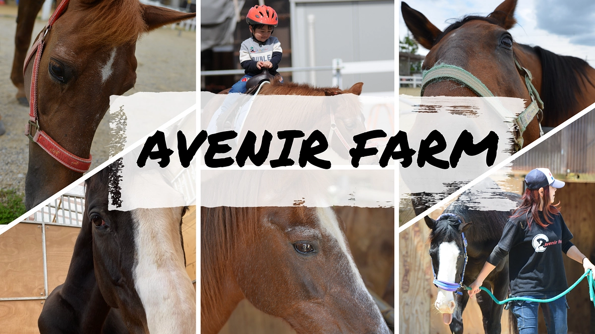 工事開始から1週間経過しました