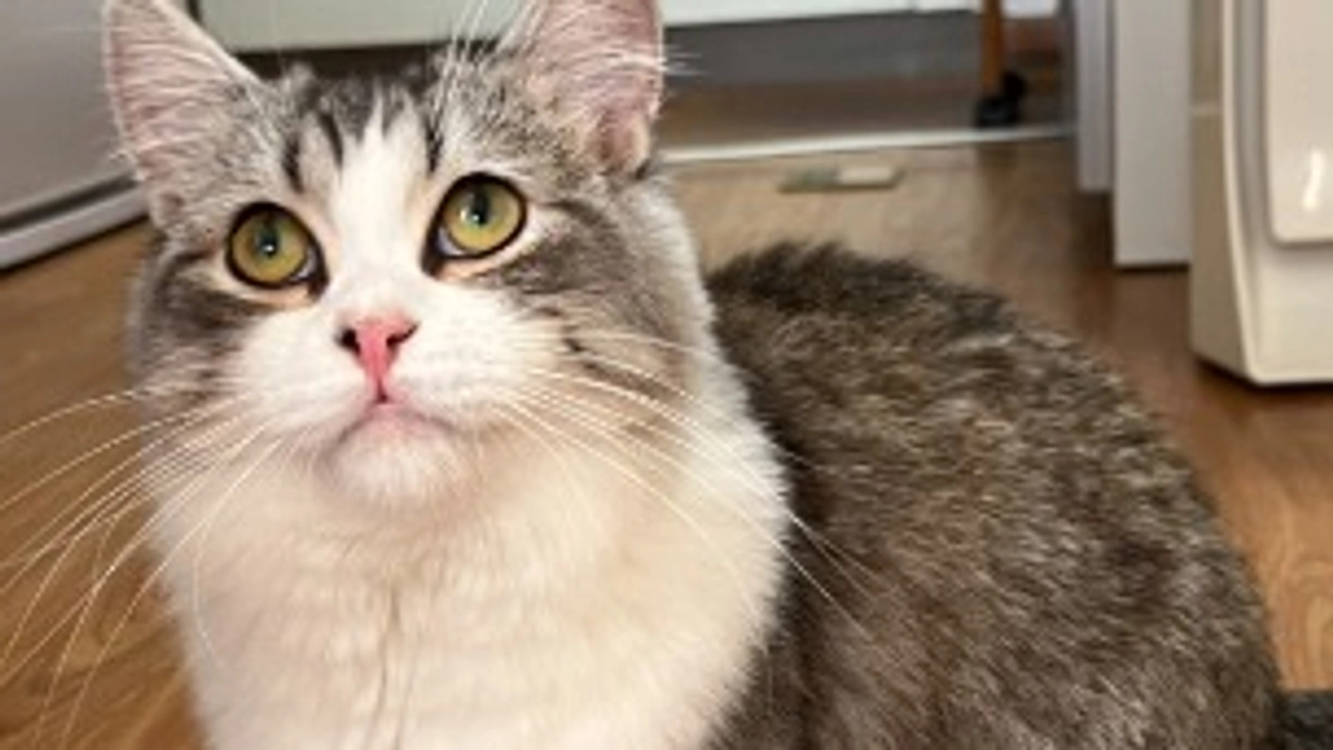 治療46日目のココロ