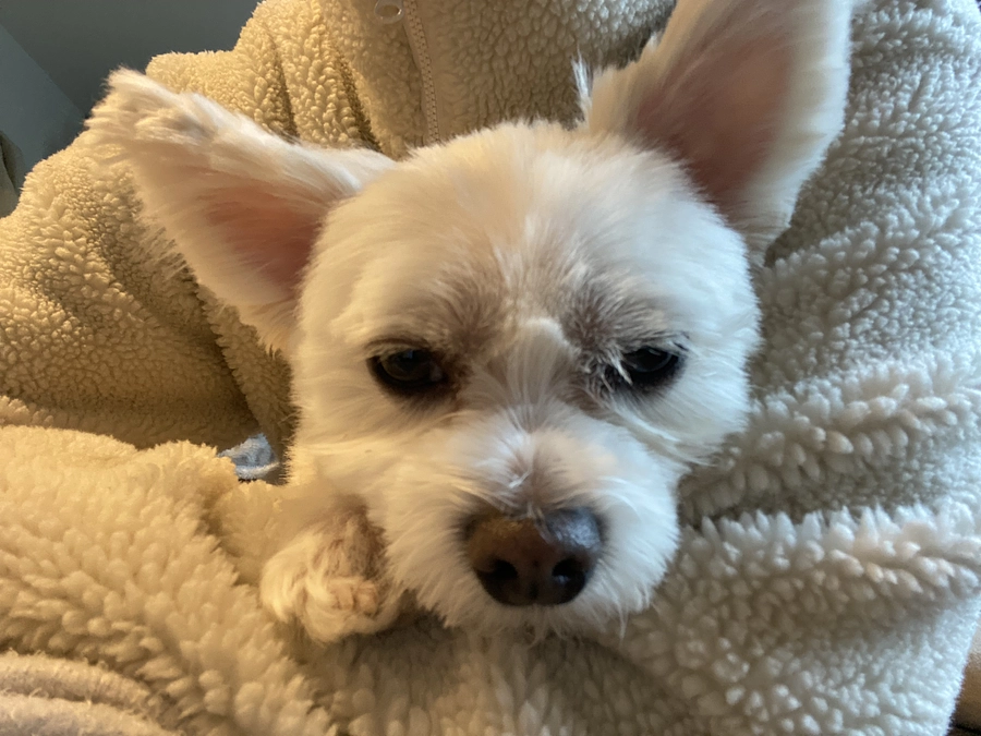 カウントダウンが始まりました