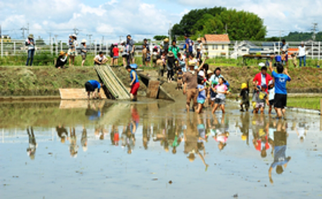 【サンクスレター】