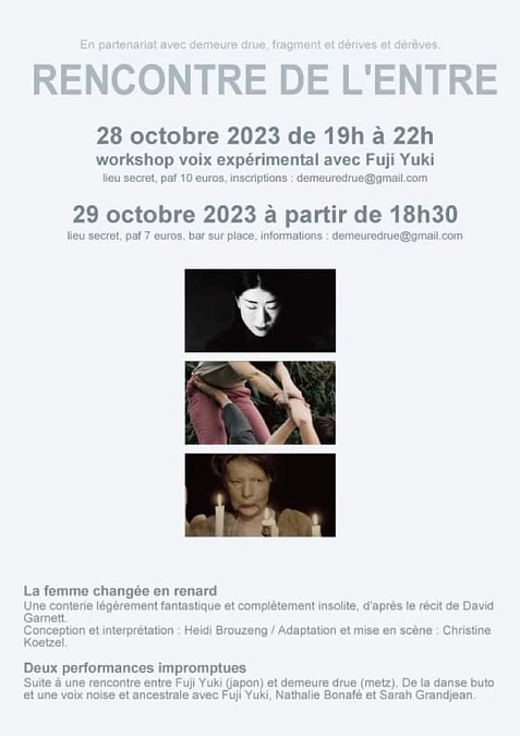  日仏文化的交流企画　 -北フランスMetz 編-