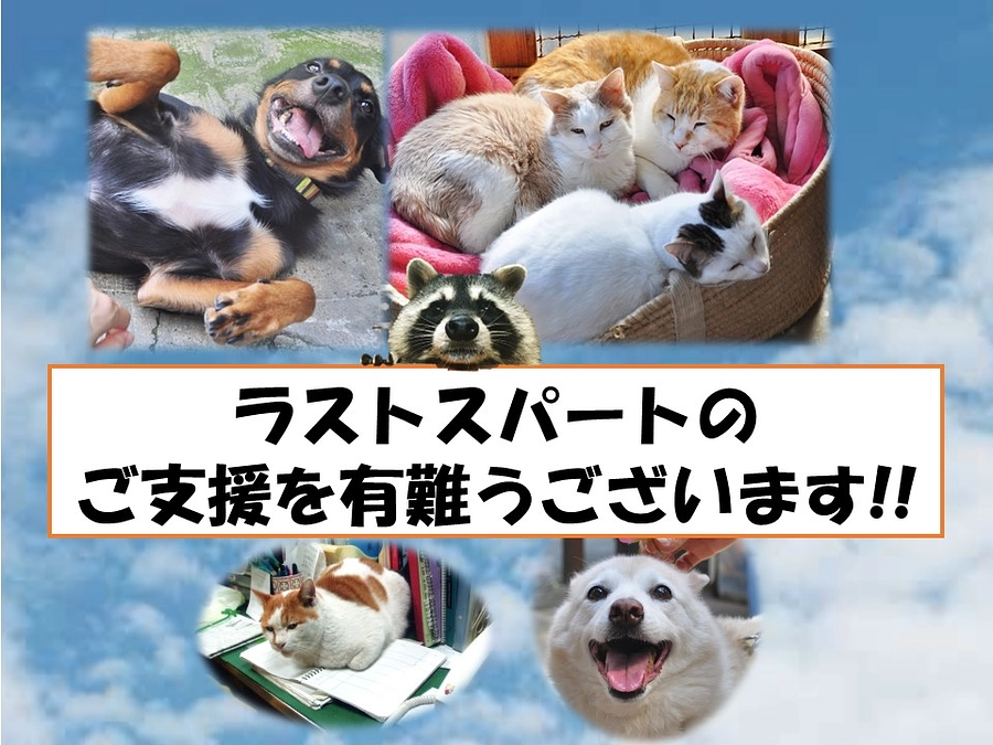 ラストスパートのご支援を有難うございます！！