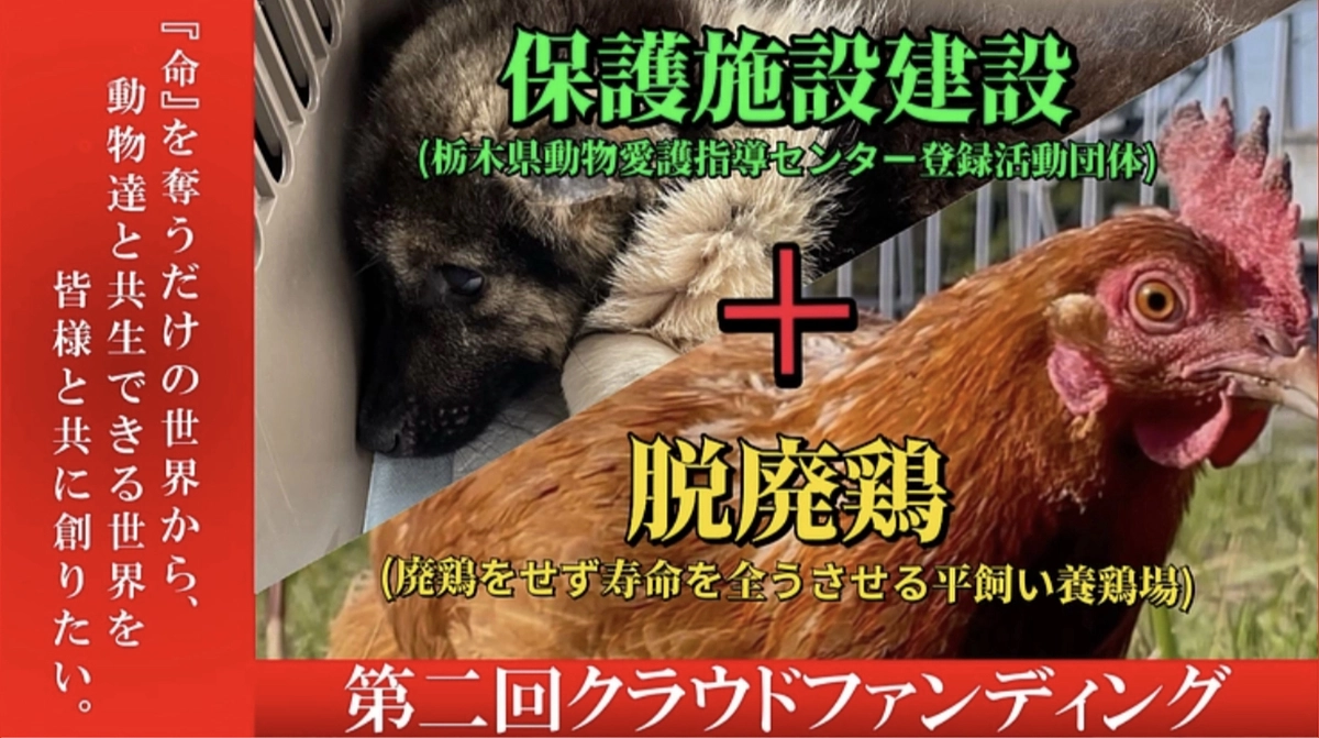 失敗しても前に進み続ける。