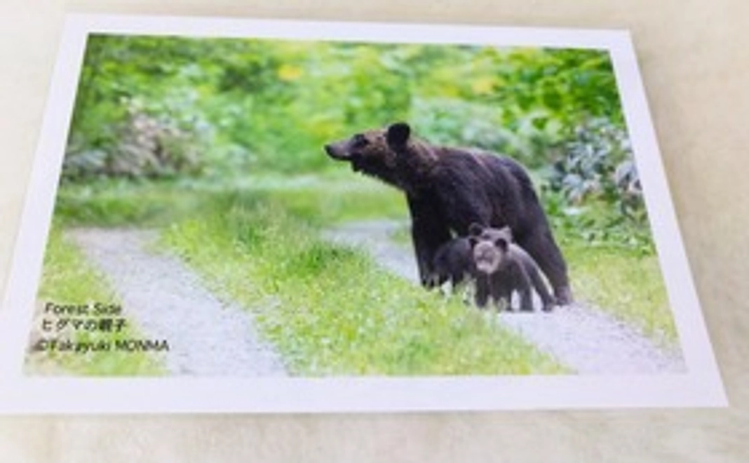 “しむかっぷの大自然”ポストカード　６枚セットコース　＋　絵本