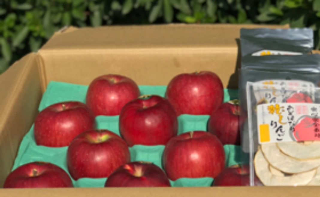 もひかん林檎のオーナー制　特選品　黄色と赤のミックス10㎏（約28~36個）&　ドライアップル2袋　×　5回