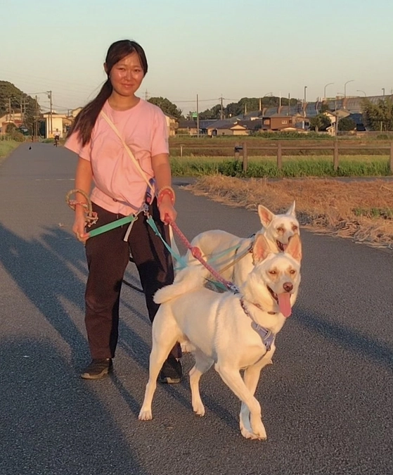 ボランティアの胸のうち④ 犬にとってより良いリーダーになる