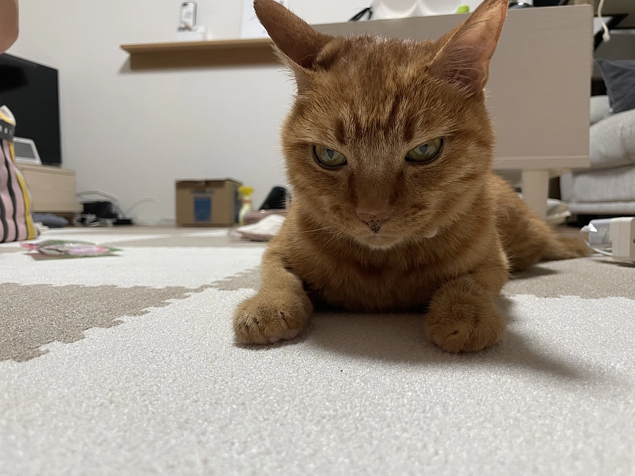 明日が抗がん剤治療10週目！！