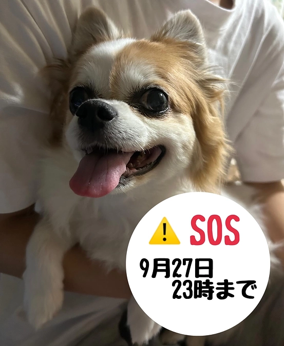 残り1週間となりました。