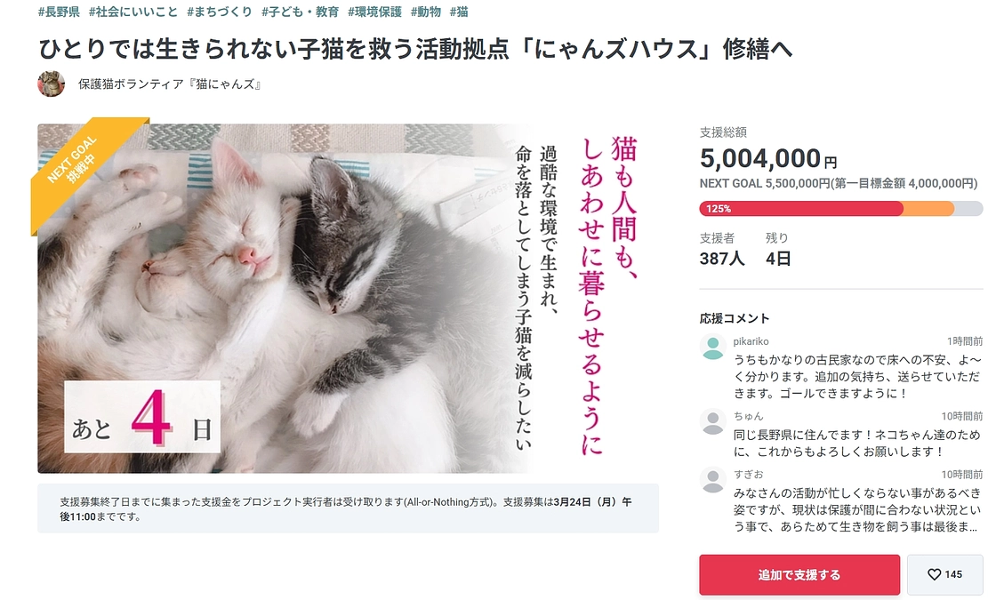 【応援投稿】猫にゃんズさんの活動拠点修繕プロジェクトへの支援者の皆さまへご協力のお願い