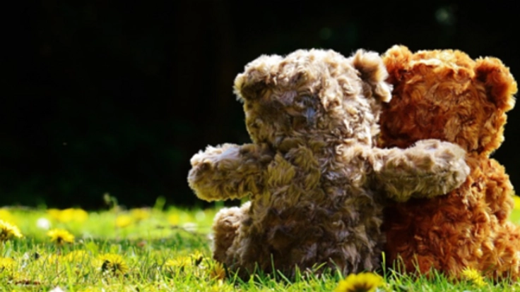 ぬいぐるみ好きが作るこだわりのケアブラシを皆様に届けます！