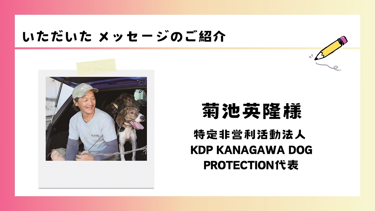 いただいた応援メッセージのご紹介｜菊池英隆様