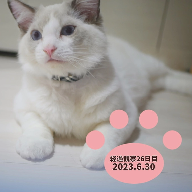 経過観察26日目(2023.6.30)