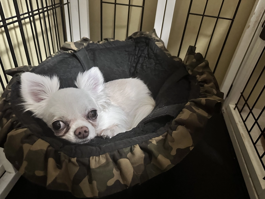 本日公開となりました！