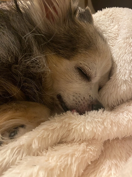 🌀台風直撃🌀