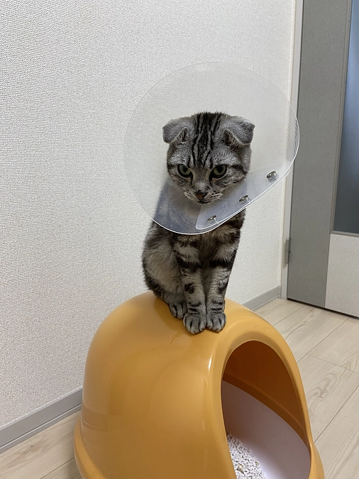 2023.7.8🔥　#闘病生活 81日目🔥