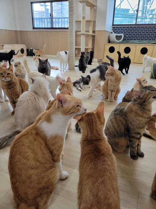 まさかまさかの出来事に本人が１番驚いています。