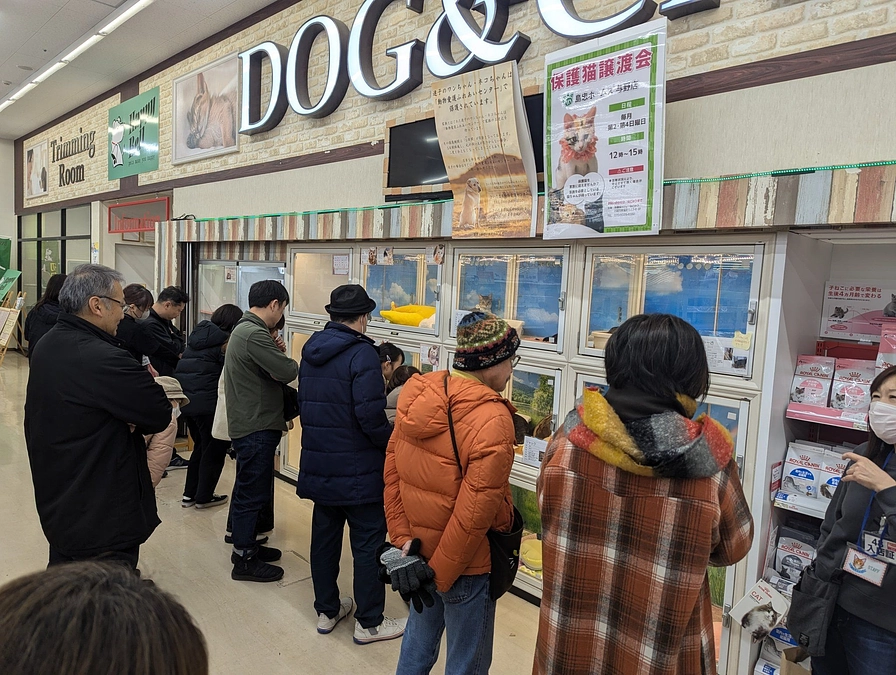 １月２５日（土）、２６日（日）は、４か所で保護猫譲渡会を開催しました。