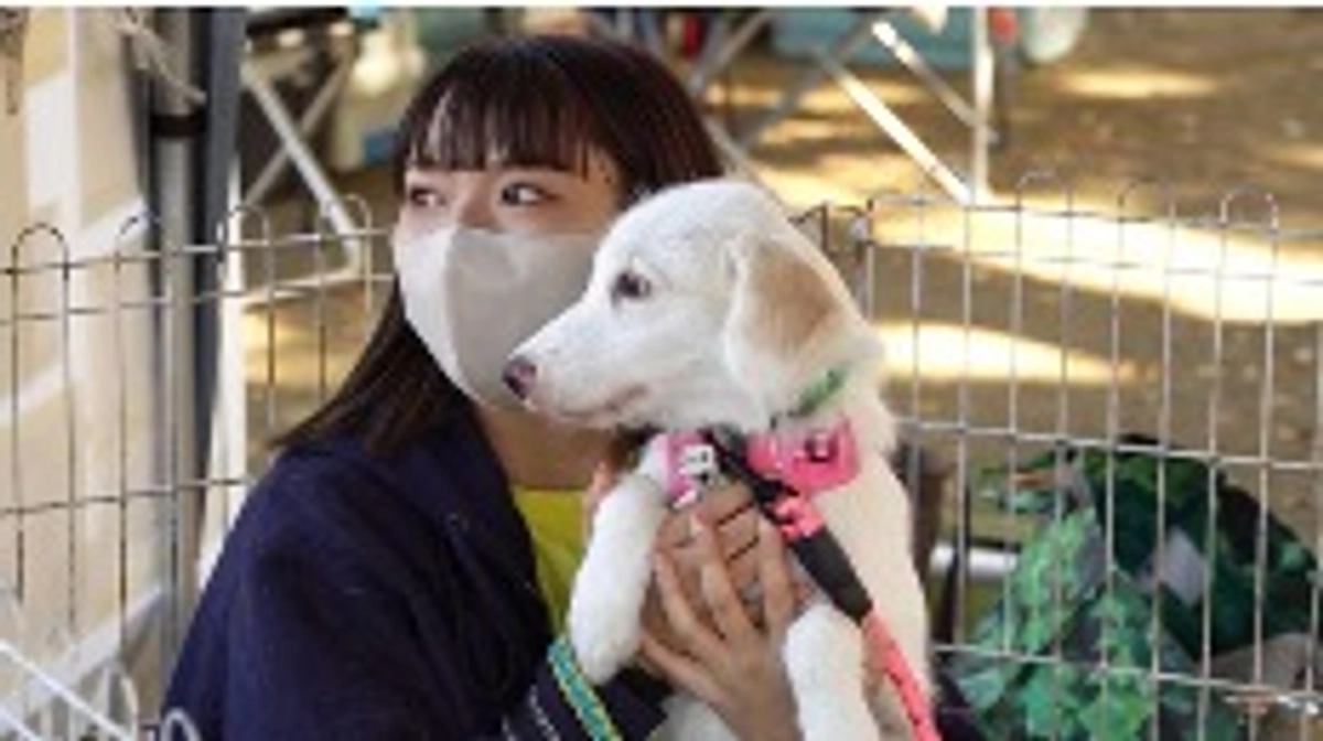 【ネクストゴールに挑戦中！東京での上映が決まりました！！】