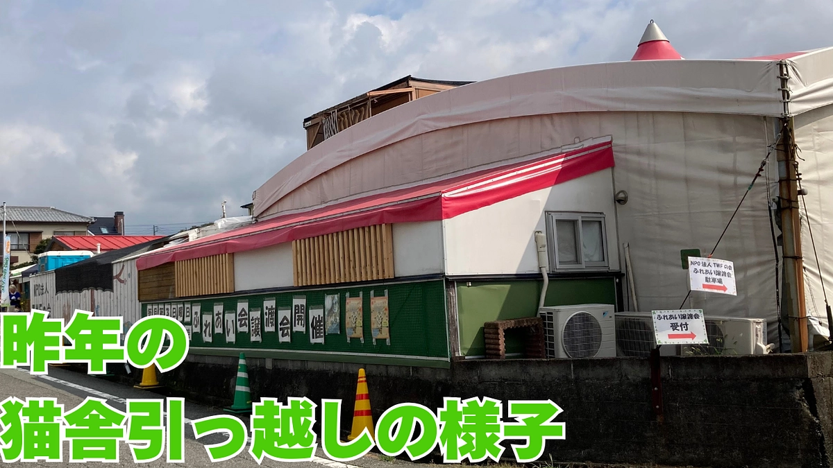 昨年の猫舎引っ越しの様子