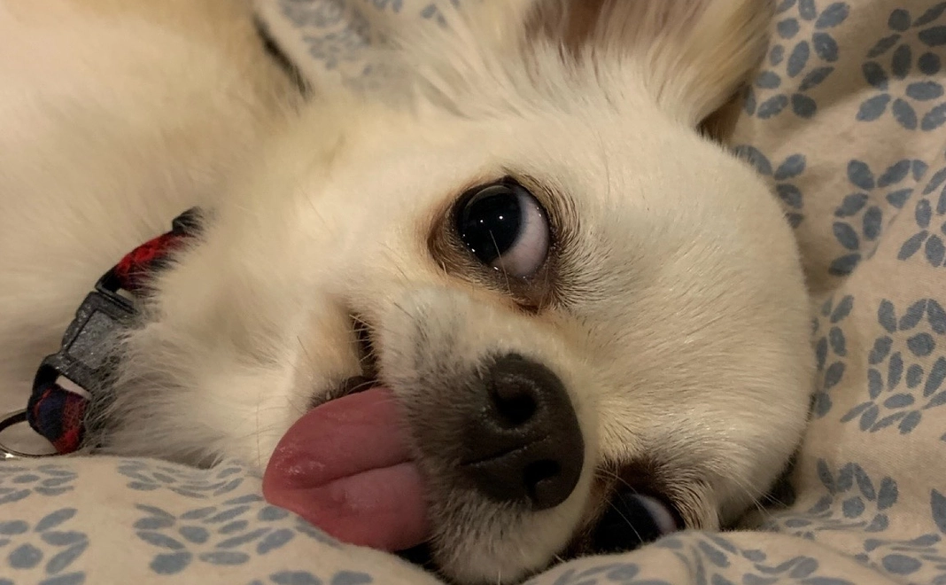 感謝のメールと活動報告30000