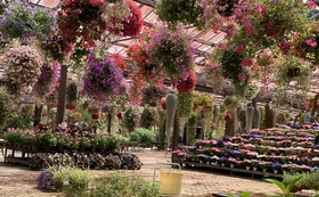 【お気持ちコース】