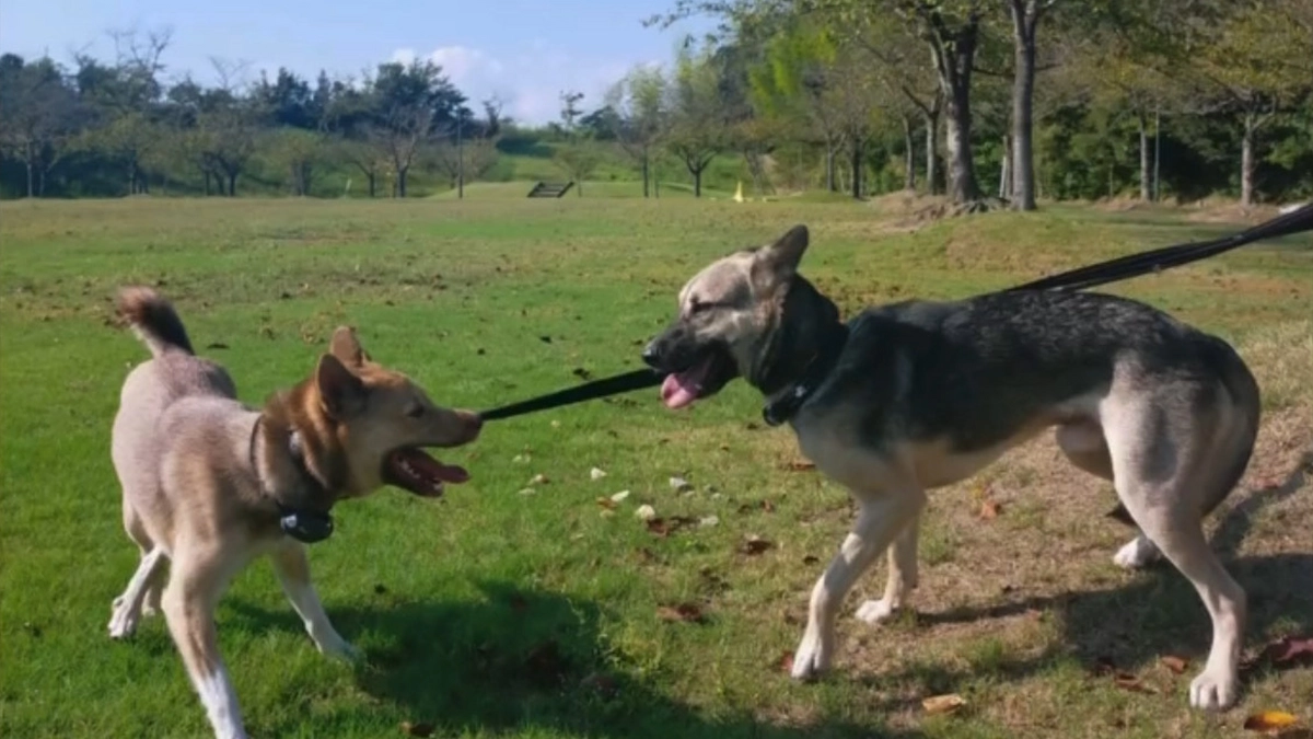 ラストスパートハッシュタグ企画！簡単ですので、皆さまの想いと共にどうかご協力をお願いします！