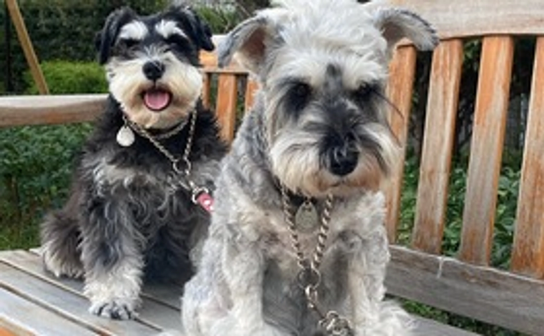 公開メールにてご報告