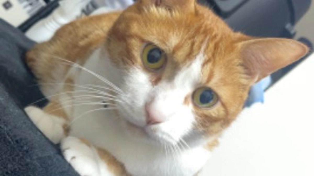 残りわずかな時間でのネクストゴールについて