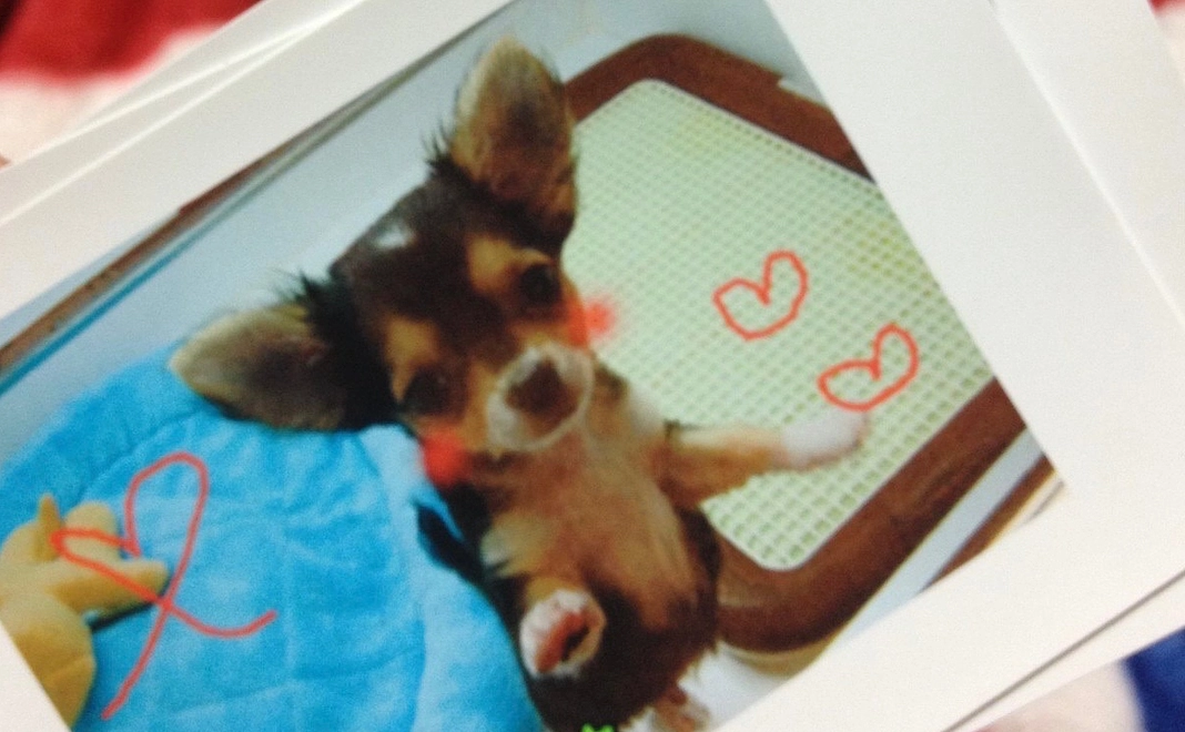 感謝のメール&活動報告　￥1,000