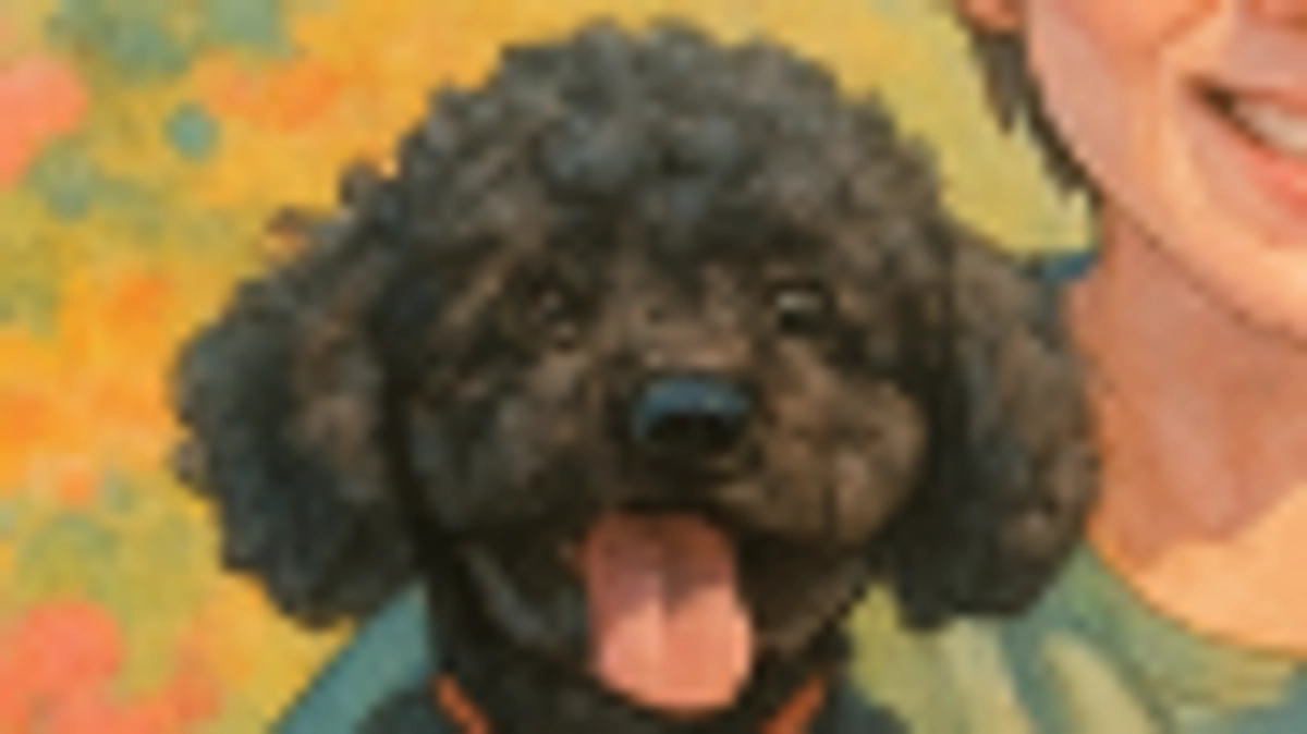 術前検査(CT・レントゲン・血液検査)