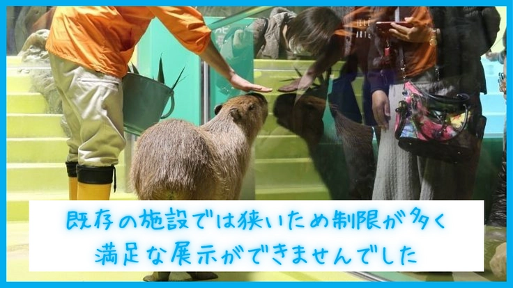 カピバラも人も幸せに！竹島水族館パワーアッププロジェクト第一弾 3枚目
