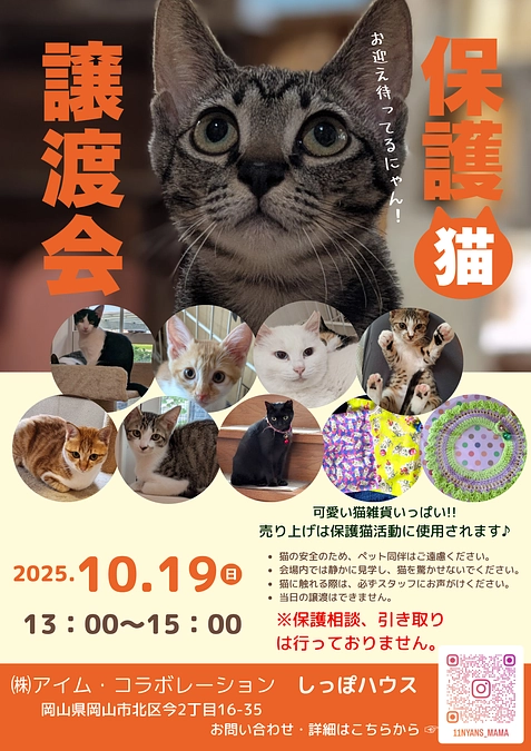 やっと涼しくなりました。