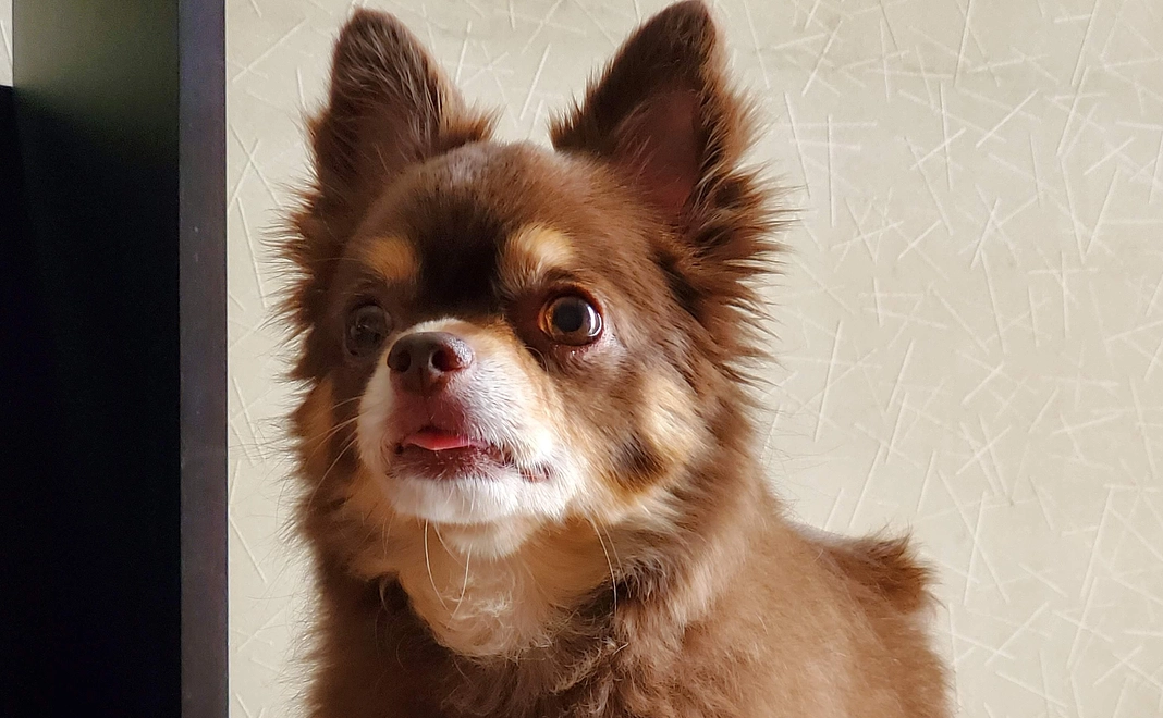 リターンなし　5000円