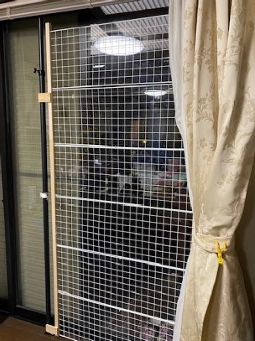 脱走防止策の大切さ  譲渡会ご案内6月24日