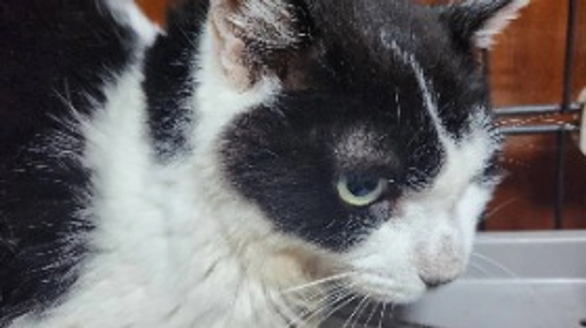 マリア通院の日🏥