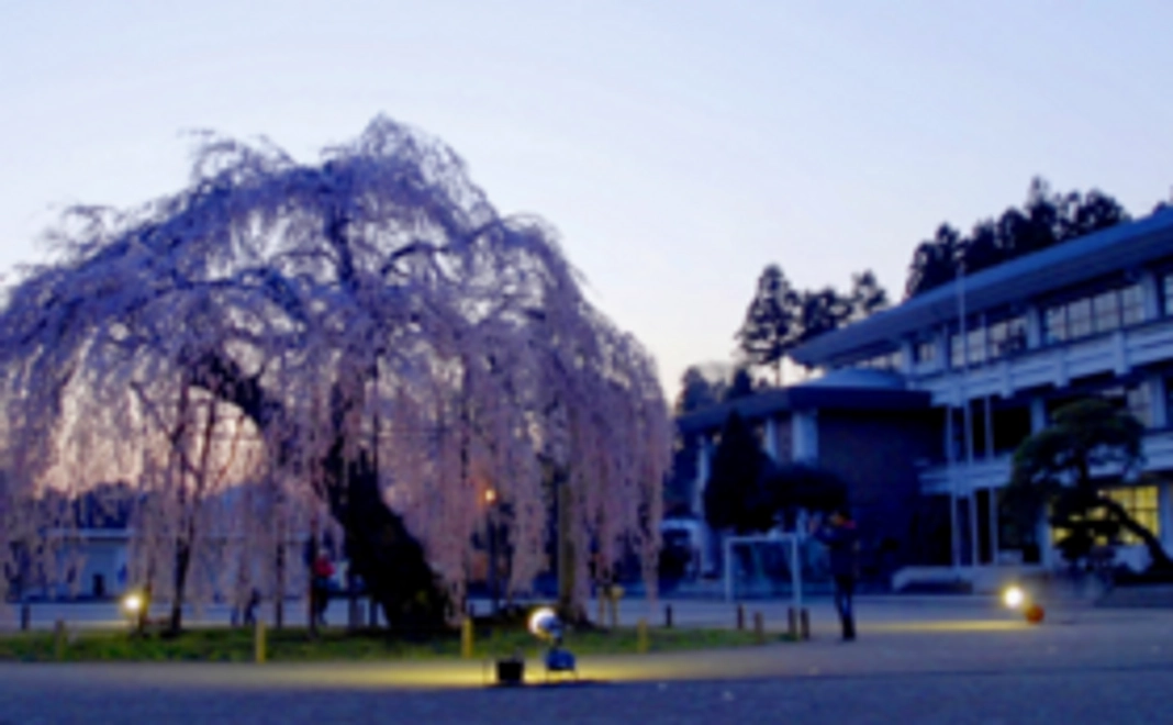 皆様のご支援が大きな力になります！