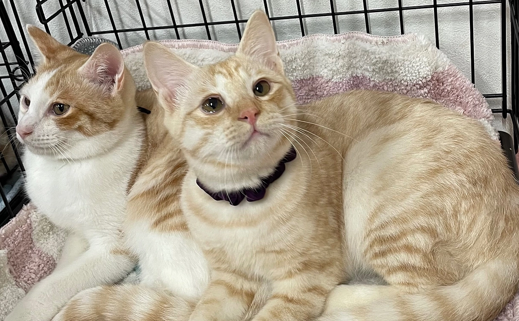 感謝のメール=^_^=