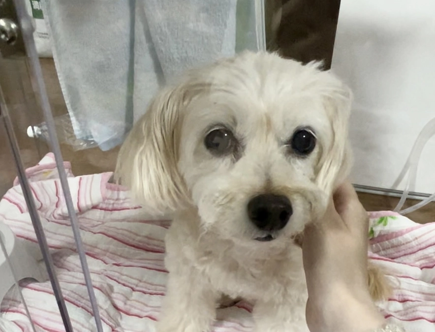 酸素ルーム2日目