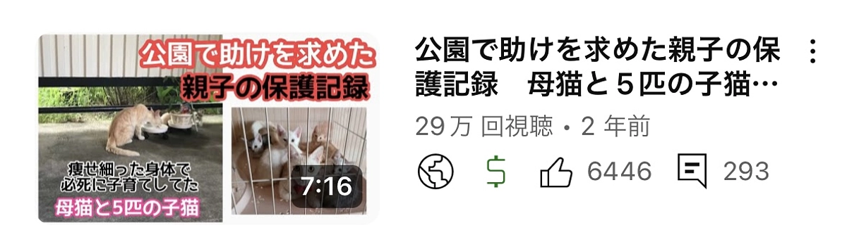 公園で助けを求めた母猫