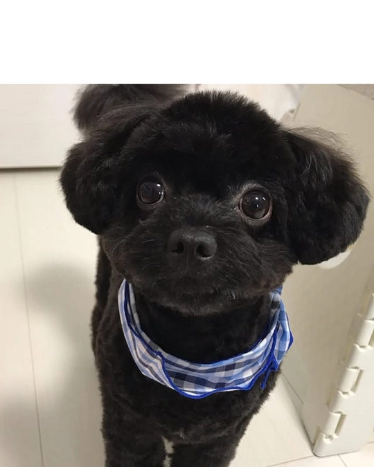 クラファン終了まで残り３日となりました🥲🆘