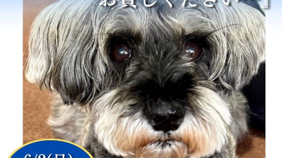 本日で終了です。