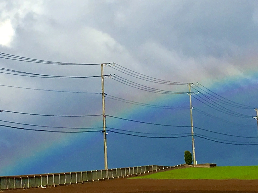 経過報告◆1日目