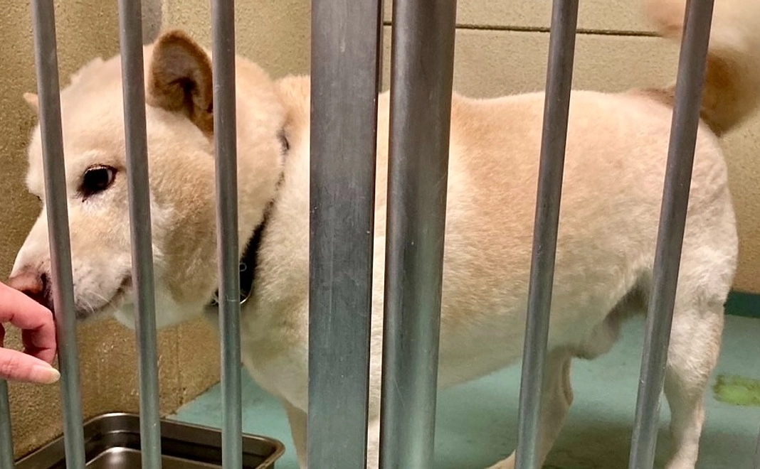 マンスリー継続応援5,000円コース