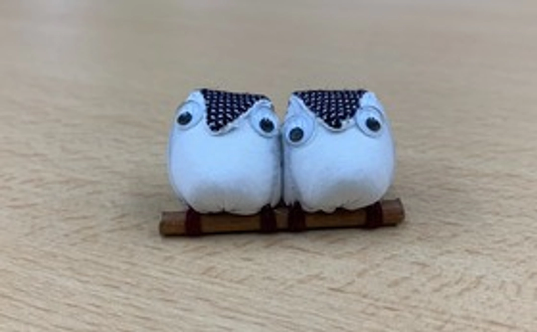 応援コース(フクロウのブローチ付)