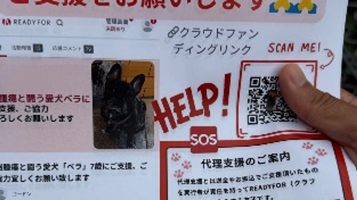 残り12時間。ベラのためにできること、全部やります。