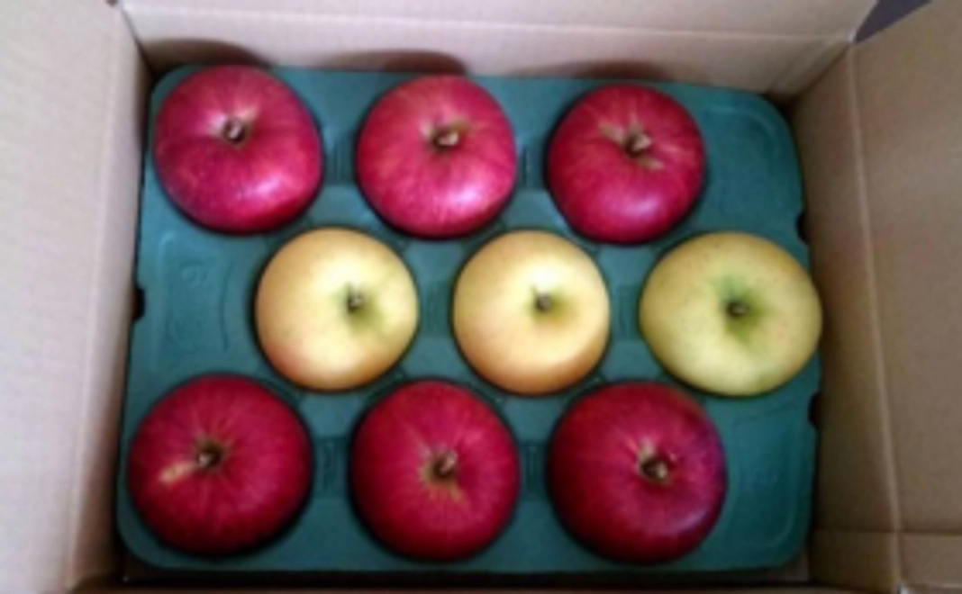 もひかん林檎のオーナー制　特選品　黄色と赤のミックス3㎏（約9個）&　ドライアップル1袋　×　6回
