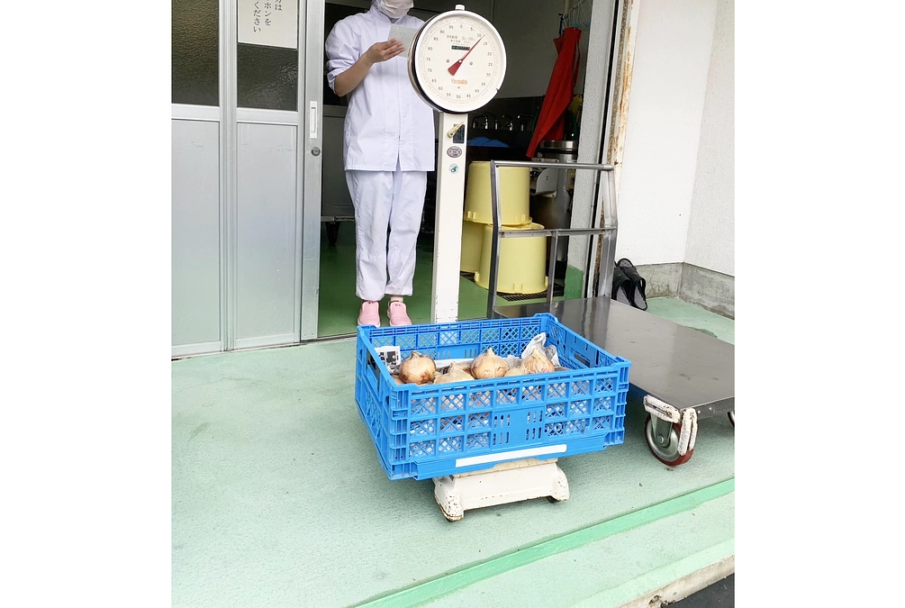 2025年助成先の紹介（３）佐藤曉美